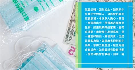 家中 飛 來 鳥|【有鳥飛進家裏】有鳥飛進家裡！破解常見迷信，揭開牠飛來的真。